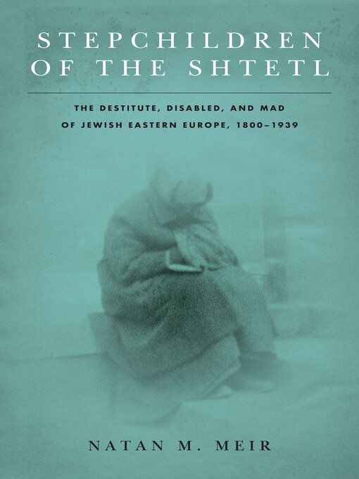 Title details for Stepchildren of the Shtetl by Natan M. Meir - Available